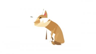 Hasta köpek simgesi canlandırması