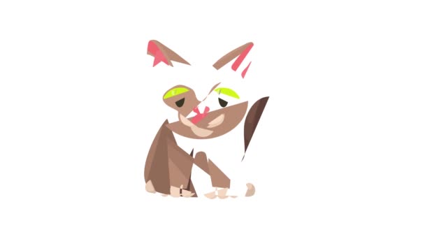 Cat icon animation — Stock Video