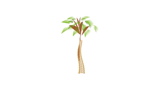Big palm tree icon animation — Stock Video