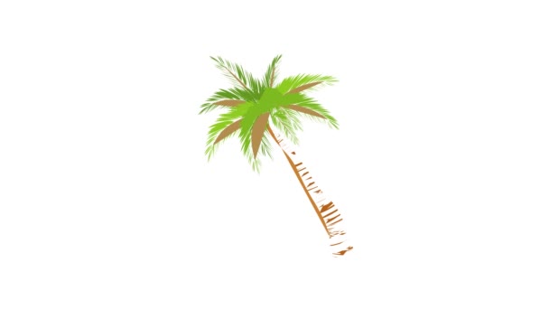 Date palm icon animation — Stock Video