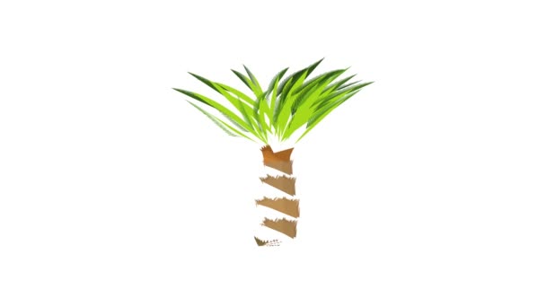 Cycas animación icono de la palma — Vídeos de Stock