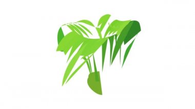 Büyük bitki simgesi canlandırması