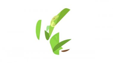 Solunum simgesi canlandırması