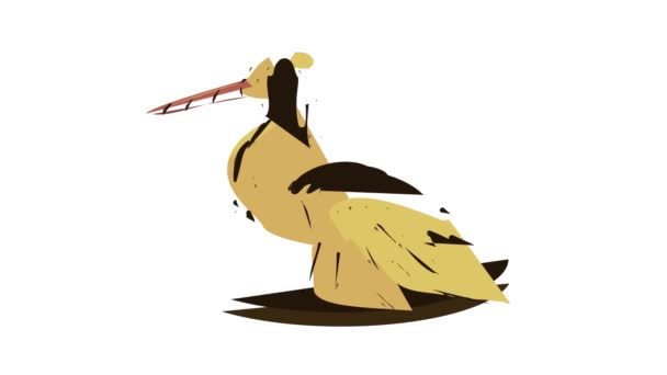 Brudna ikona ptaka animacja — Wideo stockowe