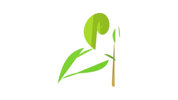 Little plant icon animation — Stock Video