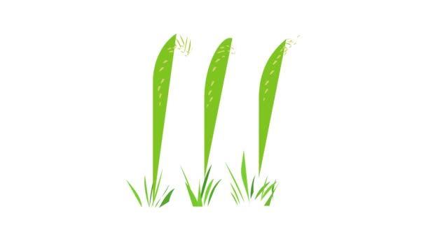 Анимация иконок трех растений — стоковое видео