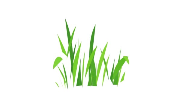 Animación icono hierba — Vídeo de stock