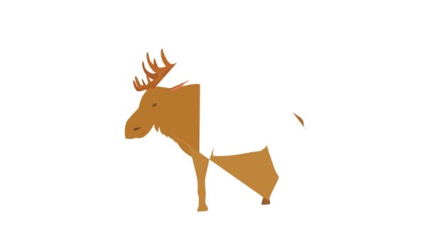 Elk icono de animación — Vídeos de Stock