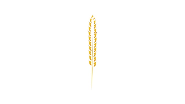 Wheat ear icon animation — Stock Video