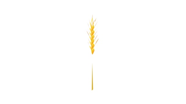 Wheat stalk icon animation — Stock Video