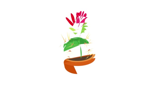 Cactus with red flower icon animation — Stock Video