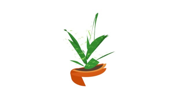 Aloe icono de animación — Vídeo de stock