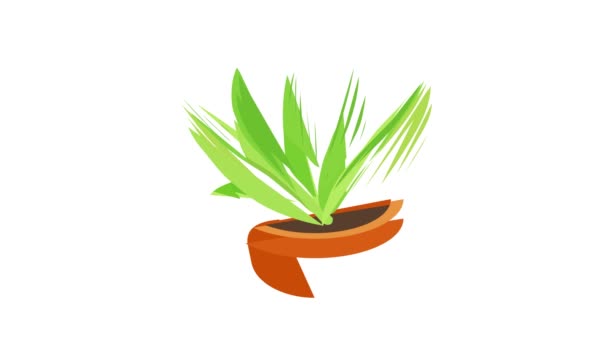 Agave icon animation — Stock Video