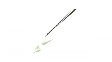 Hattatlık kalem canlandırması