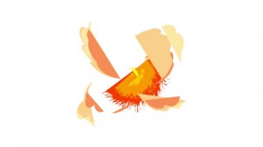 Parlak patlama simgesi canlandırması