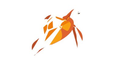 Kaplumbağa simgesi canlandırması