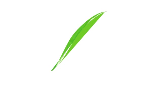 Animace ikon vrbového listu — Stock video