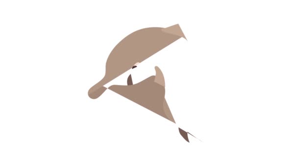 Dolphin icon animation — Stock Video