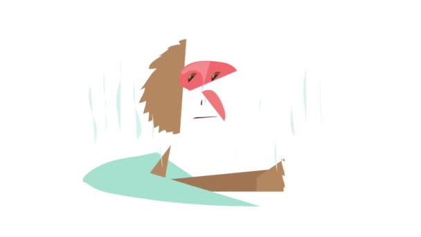 Animation zum Affenbaden — Stockvideo