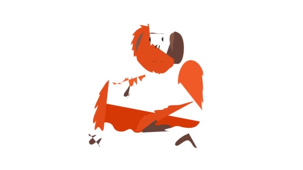 Animación icono de Orangután — Vídeos de Stock