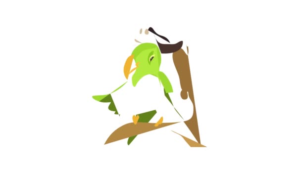 Animace ikon Pirátský papoušek — Stock video