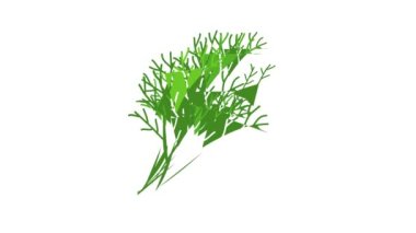 Dill simge canlandırması