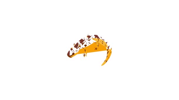 Lizard icon animation — Stock Video
