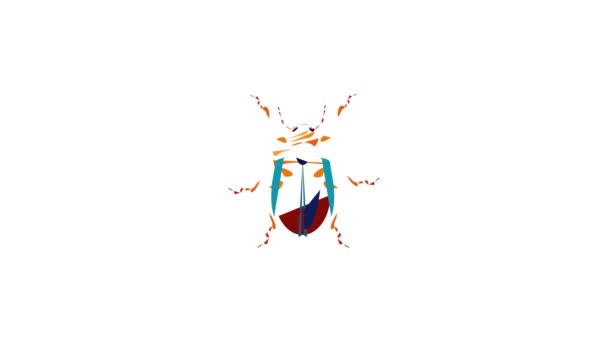 Bug icon animation — Stock Video