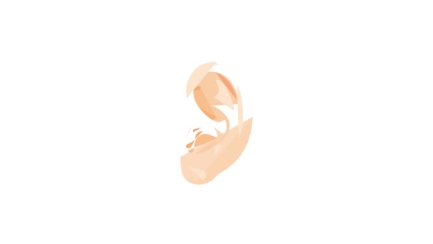 Animação do ícone do ouvido humano — Vídeo de Stock