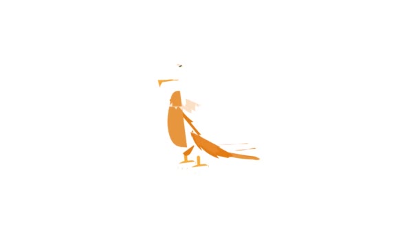 Bald eagle icon animation — Stock Video