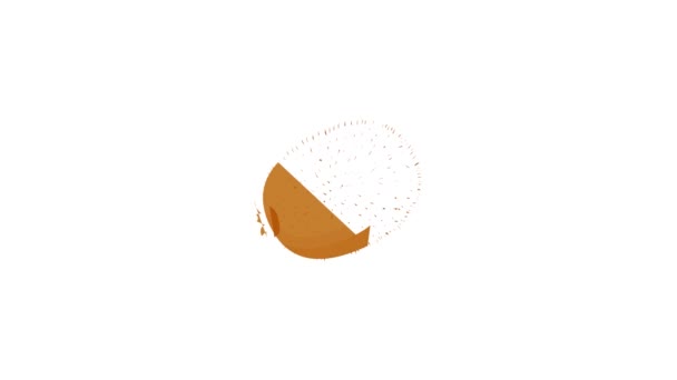 Ripe whole kiwi icon animation — Stock Video