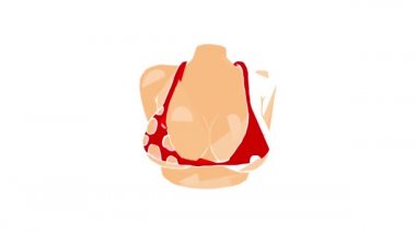 Kırmızı sütyen ikonlu kadın göğsü animasyonu