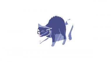 Kedi simgesi canlandırması