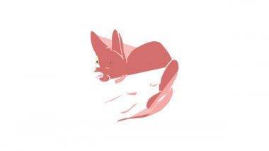 Kedi simgesi canlandırması