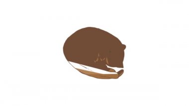 Kedi simgesi canlandırması