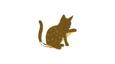 Kedi simgesi canlandırması