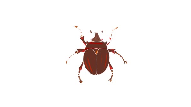 Insect bug icon animation — Stock Video