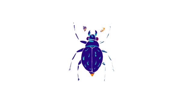 Animace ikon hmyzu — Stock video