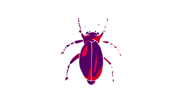 Insect bug pictogram animatie — Stockvideo