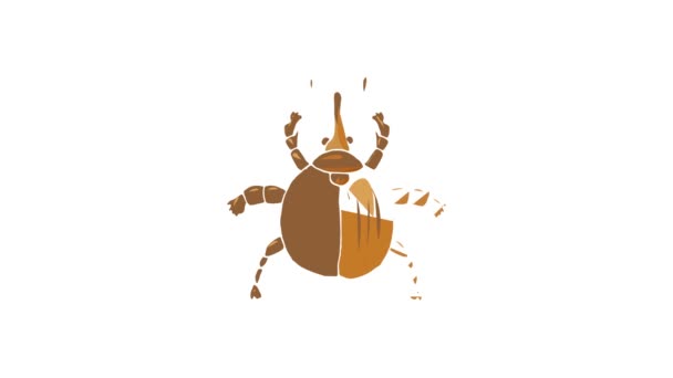 Insect bug icon animation — Stock Video