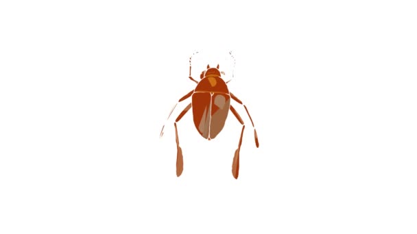 Анимация иконки насекомых — стоковое видео