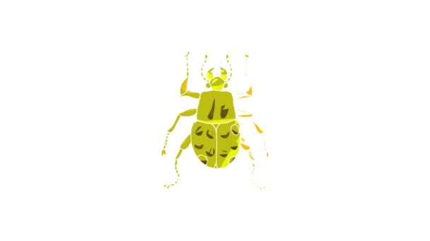 Insect bug icon animation — Stock Video