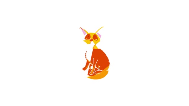 Cat icon animation — Stock Video