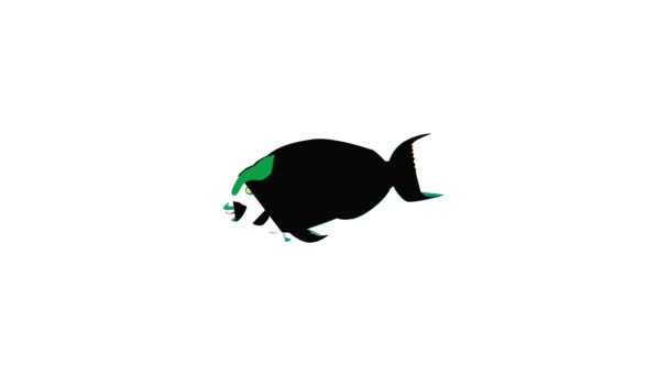 Animación icono de pescado verde — Vídeo de stock