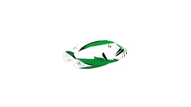 Animación icono de pescado verde — Vídeos de Stock