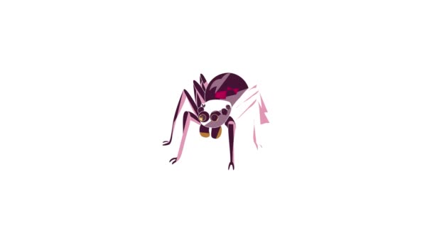 Animace ikon pavouka — Stock video