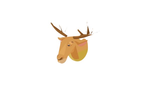 Animazione icona testa cervo — Video Stock