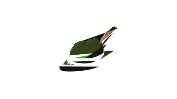 Irländsk hatt ikon animation — Stockvideo