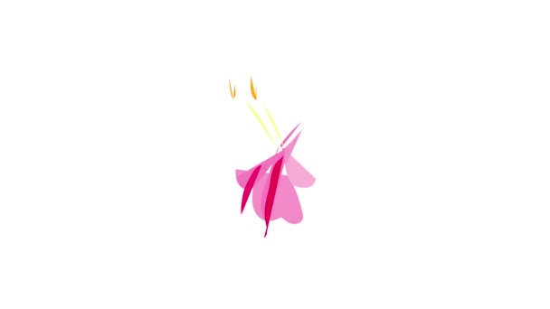 Lily ikon animation — Stockvideo