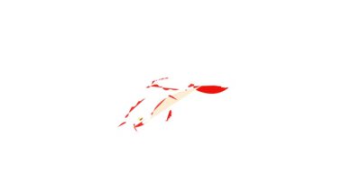 Koi sazan simgesi animasyonu